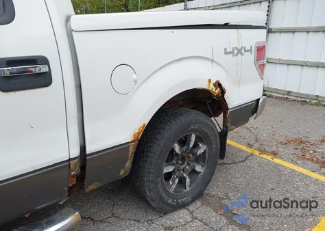 2010 Ford F-150 Fx4/Harley-Davidson/King Ranch/Lariat/Platinum/Xl/Xlt z USA, uszkodzony, nr VIN 1FTFW1EV0AFD31825